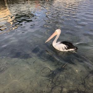 Meet your Posher, Kathryn